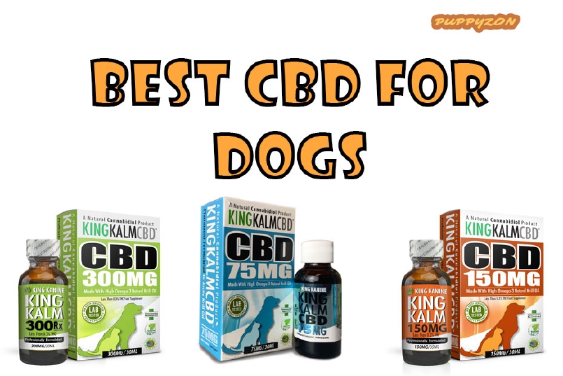 Best CDB For Dogs 