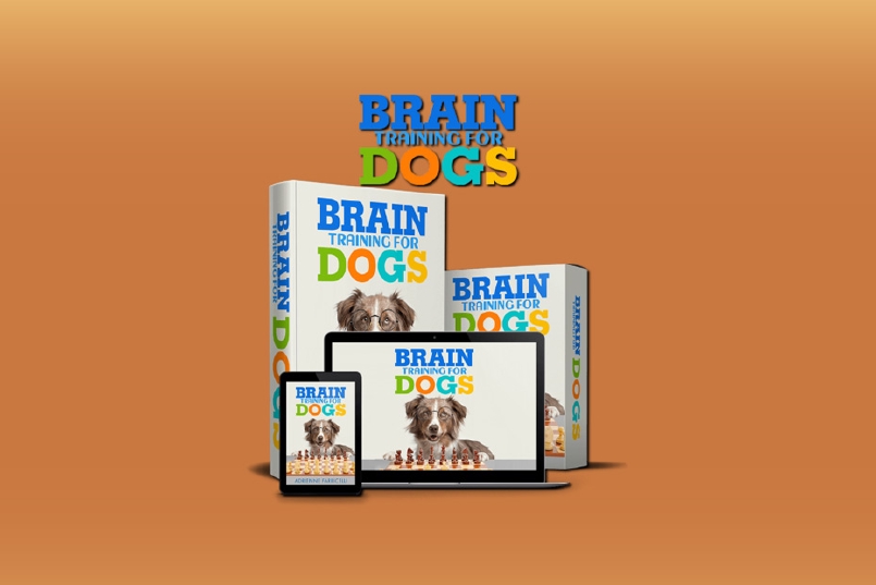 Brain Training 4 Dog's