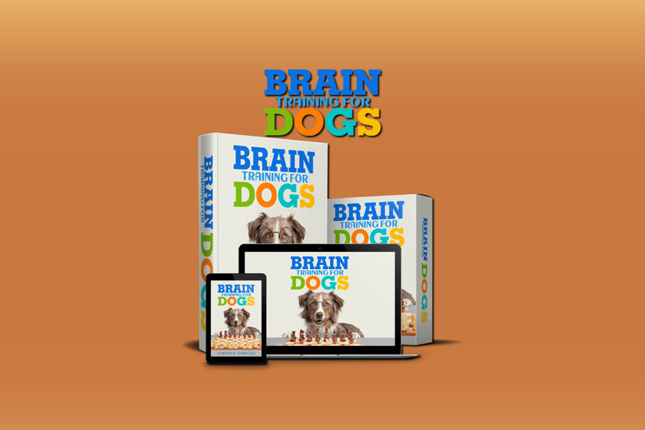 brain-training-for-dogs.jpg